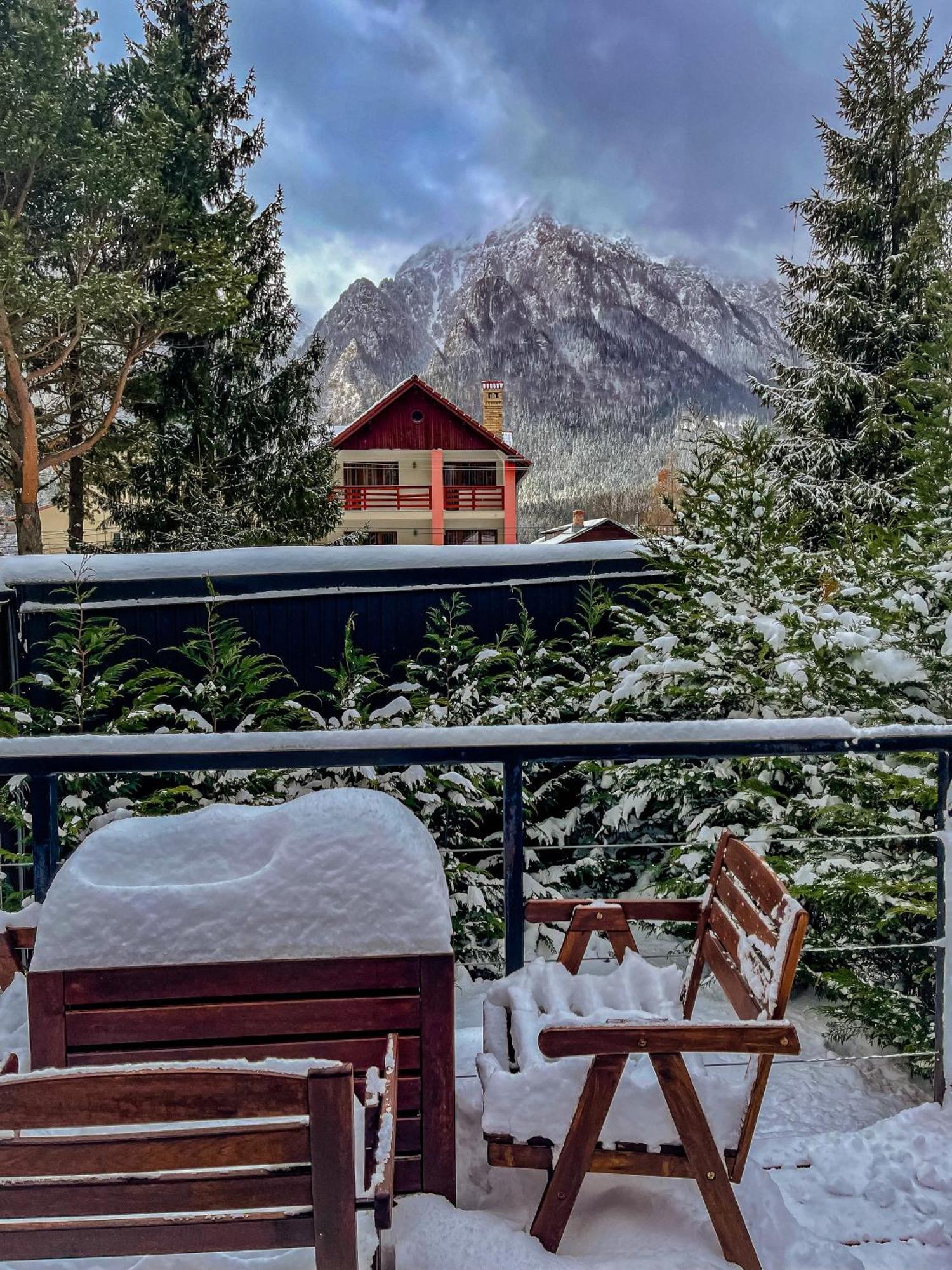 Moon Montana Buşteni Esterno foto